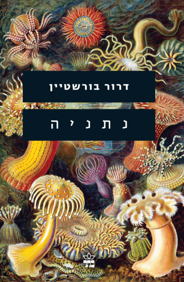 Netanya